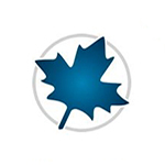 Maple 2020 专业的数学工程计算软件