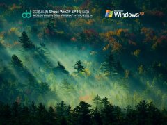 大地系统 Ghost WinXP SP3 极速装机版 V2022.04 官方特别优化版