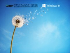 雨林木风 Ghost Win 10 64位 专业版 V2022.01 官方特别优化版